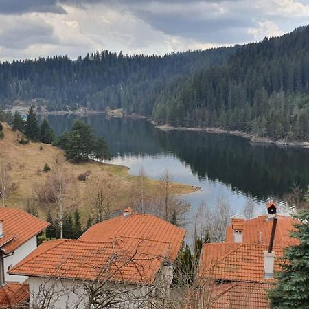 Вила Родопи โดสปัต ภายนอก รูปภาพ